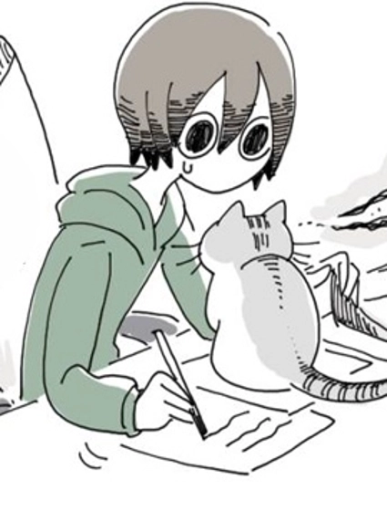 關於養貓我一直是新手