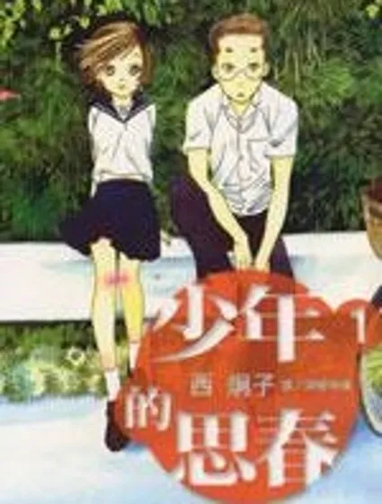 少年的思春