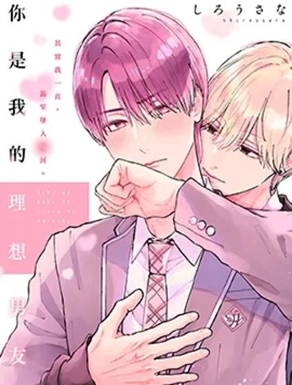 你是我的理想男友